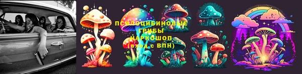 соль курить ск Рославль