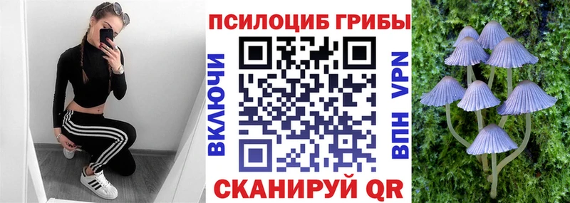 Купить  Старая Русса  Галлюциногенные грибы Psilocybe 