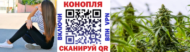 Купить где Старая Русса Конопля планчик